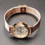 Fashion Quartz Watch, Thin Calendar Waterproof Women's Watch-YBN-18 - Image 7